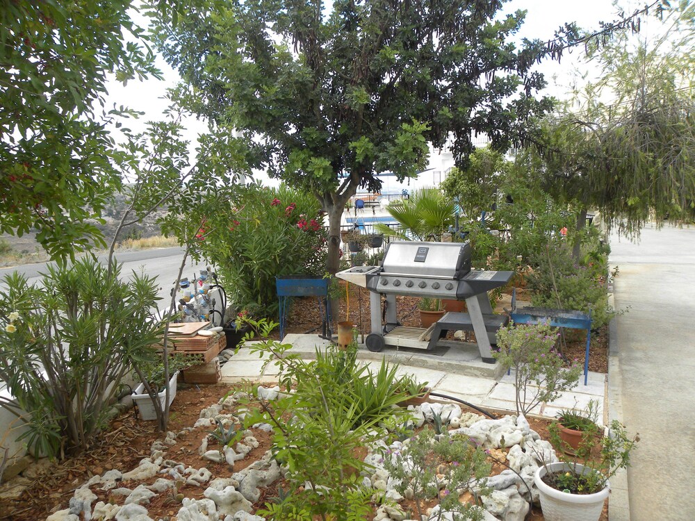 Photo 29