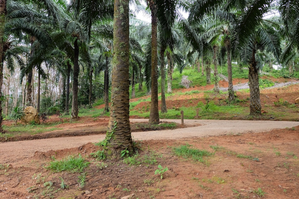 Tonpalm Farmstay