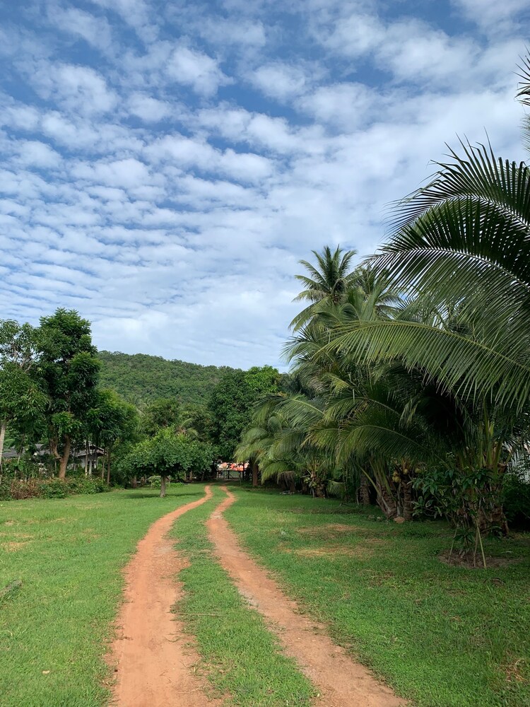 155 SalaCoco