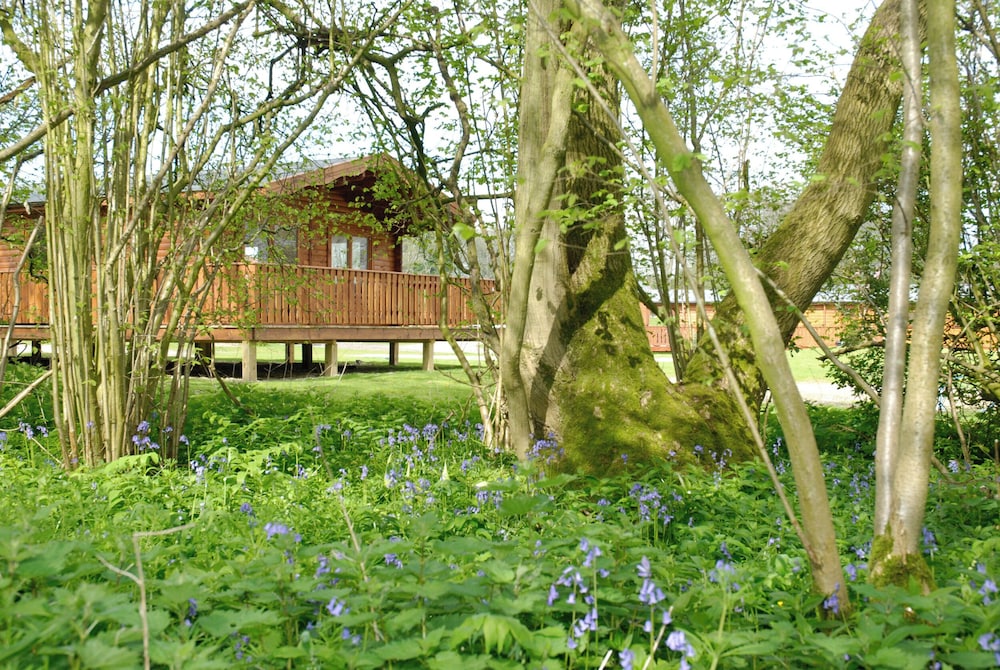 Hotel South Winchester Lodges