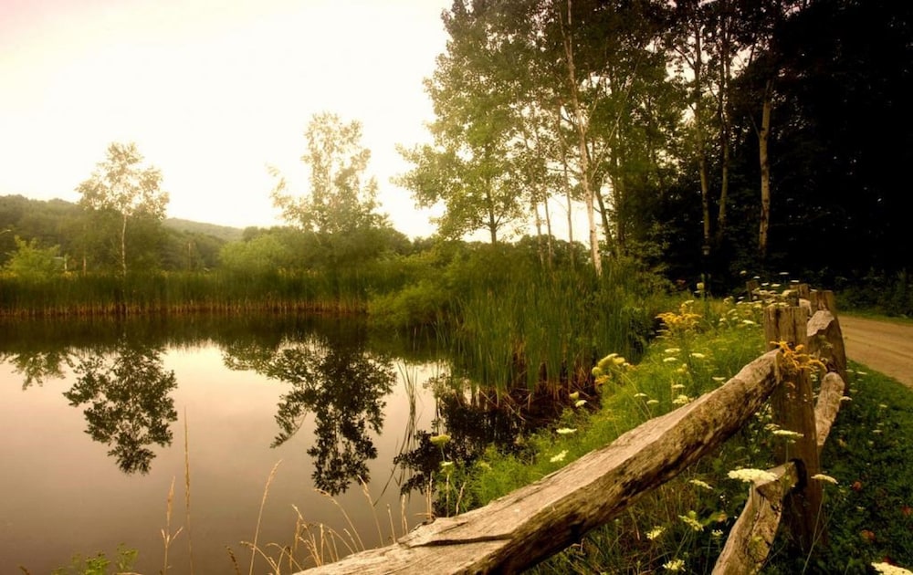 Photo 43