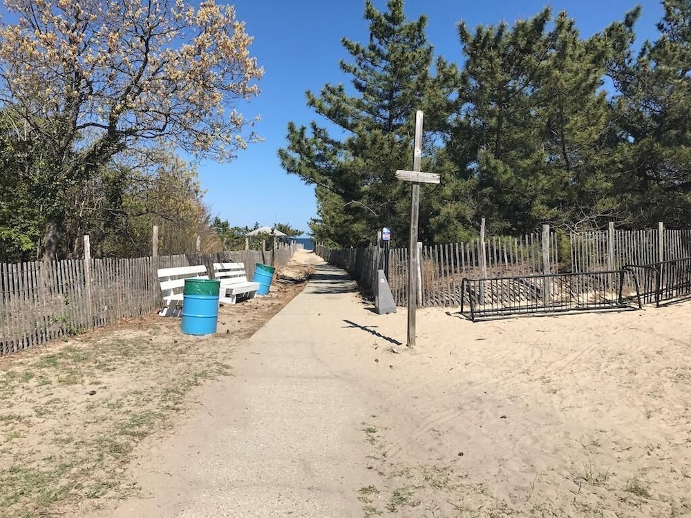 Surf Avenue 47