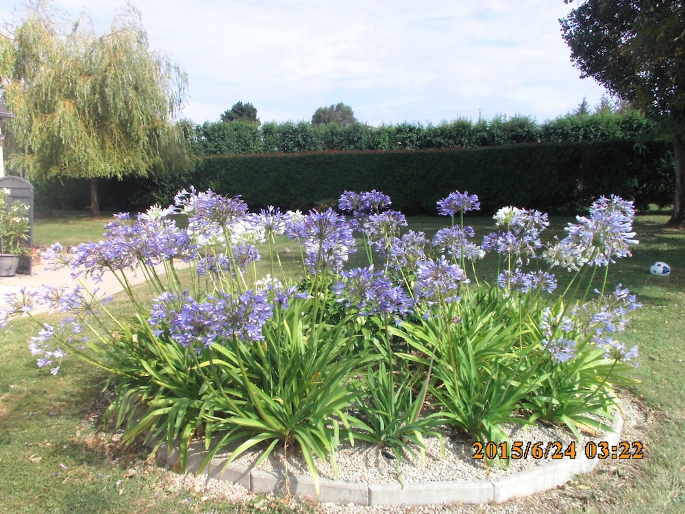 Photo 29