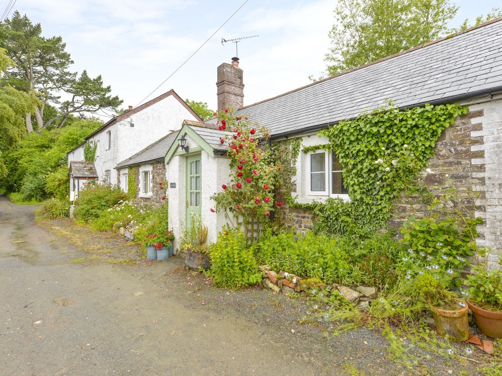 Holsworthy Vacations - Goslings - Property Image 1