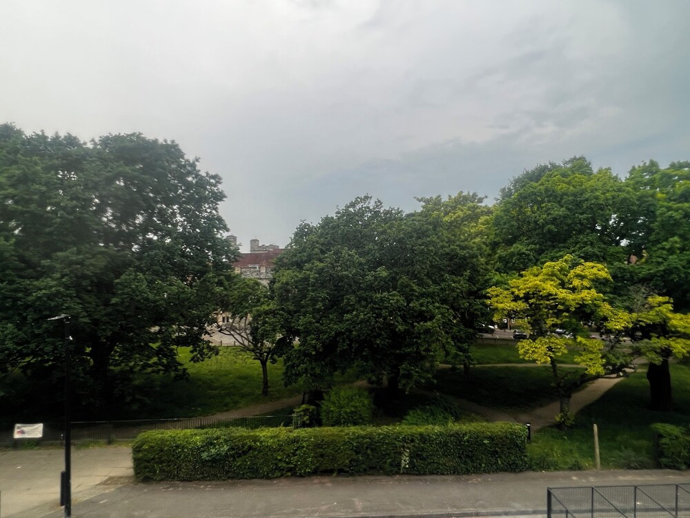 garden