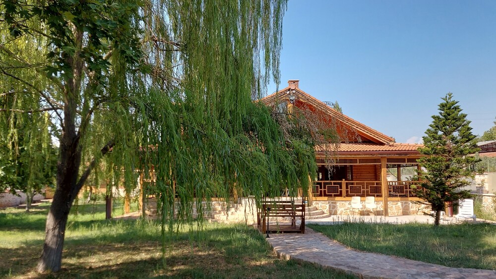 Photo 9