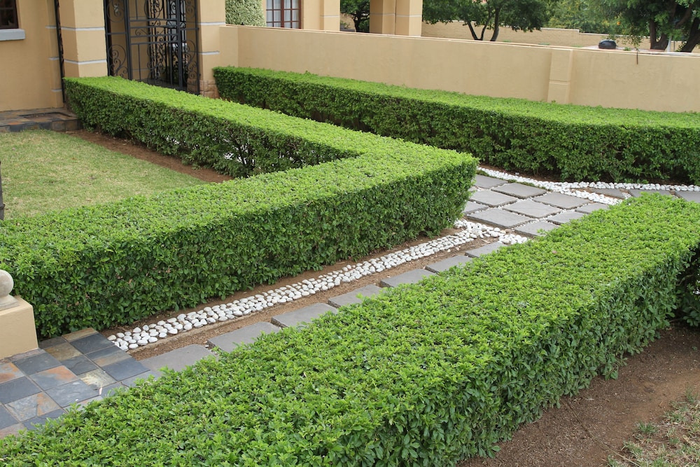 La Villa Rosa