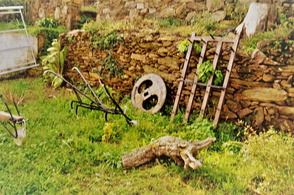 Quintinha D' Arga