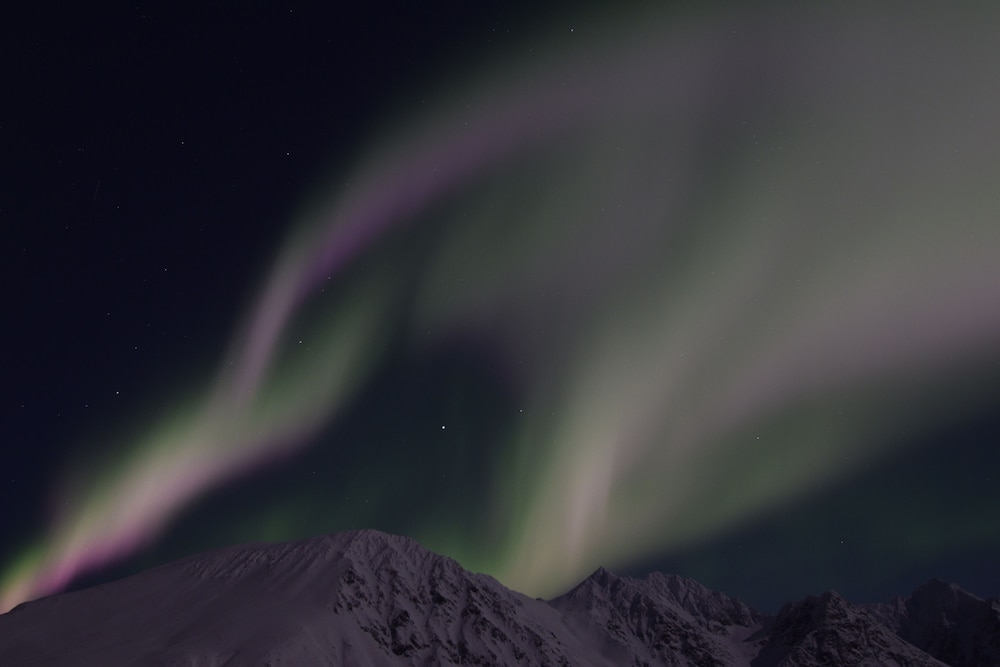XLyngen