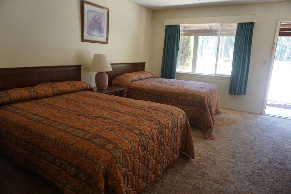 Willows Vacations - Blue Gum Motel - Property Image 7