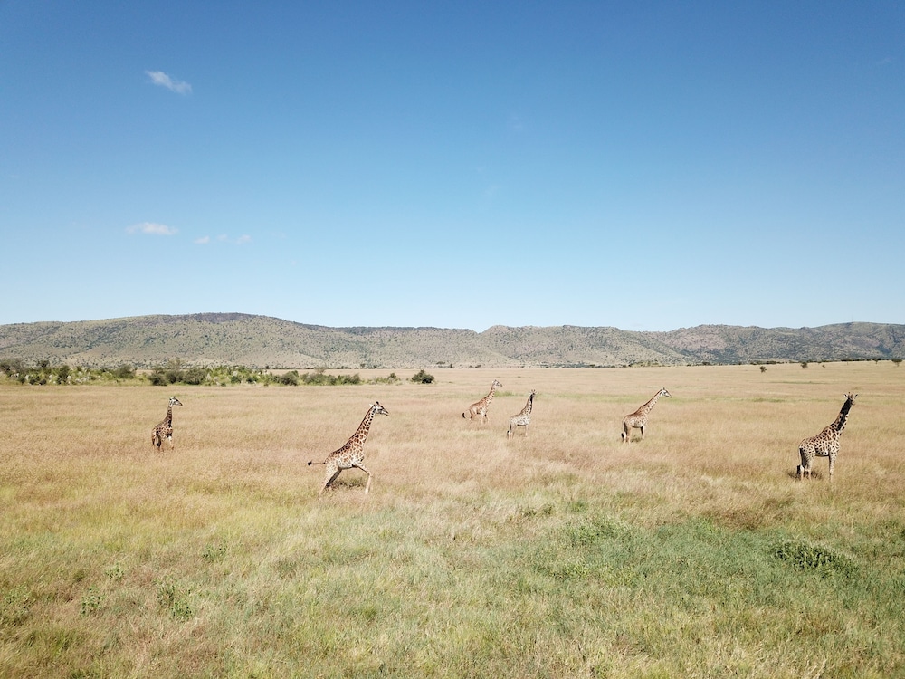 Kananga Special Tented Camp