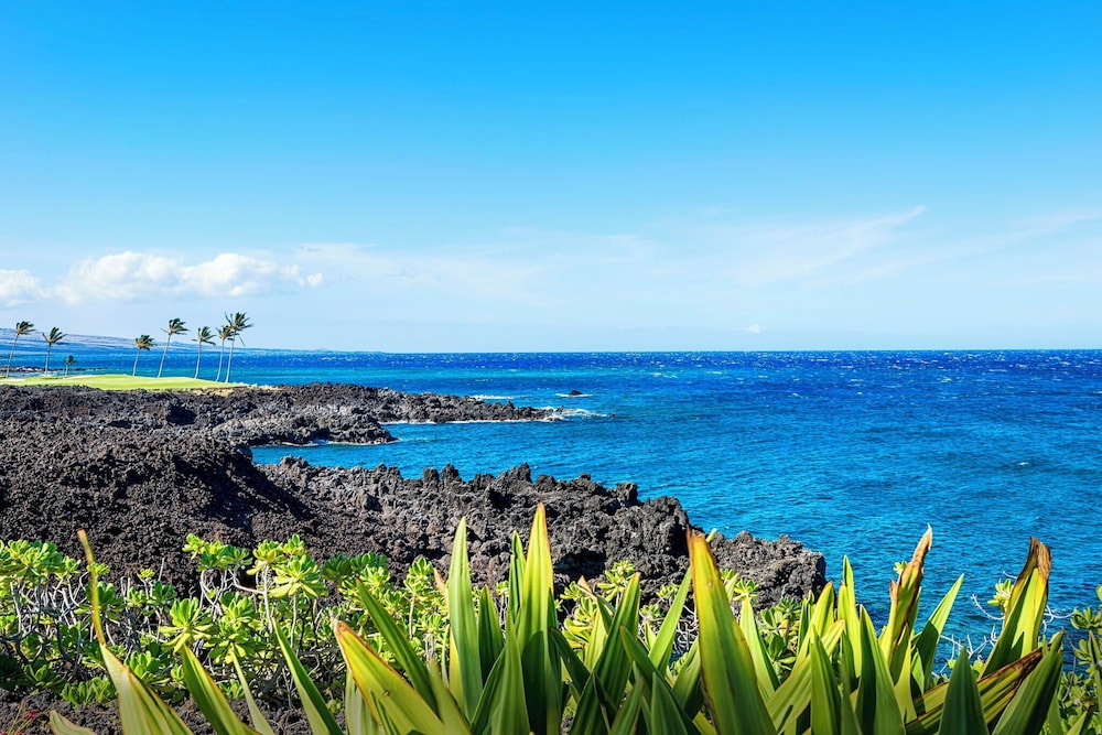 Serene Location - Excellent Resort Amenities - Oceanfront-vrkcv