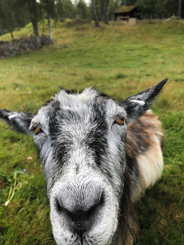 Smålandstorpet