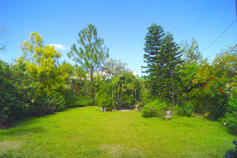 Photo 46