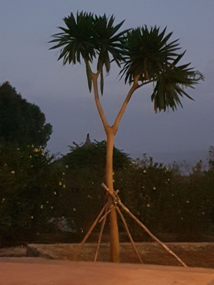 Mayleko Lodge