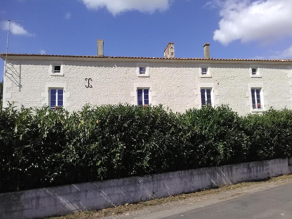 Photo 19
