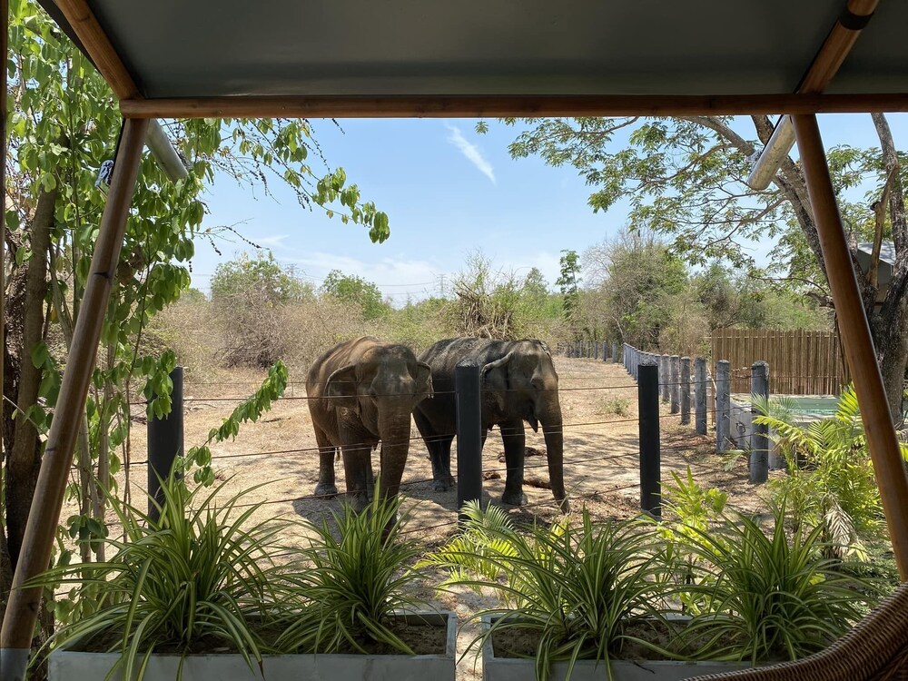 Elephant View Camp view 3