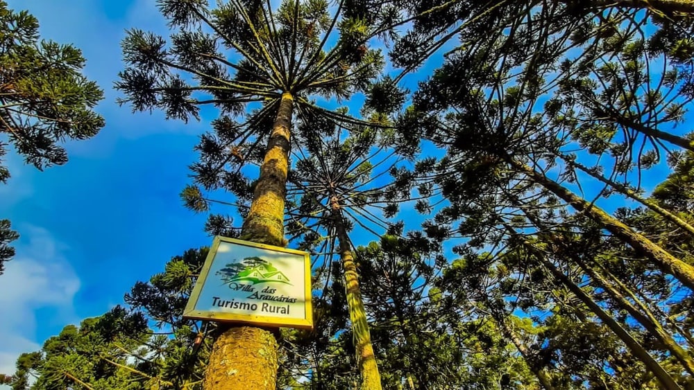 Villa das Araucarias - Urubici - SC