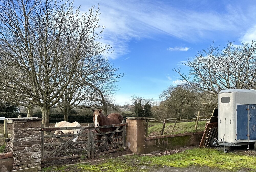 Captivating 1-bed Apartment in Hereford