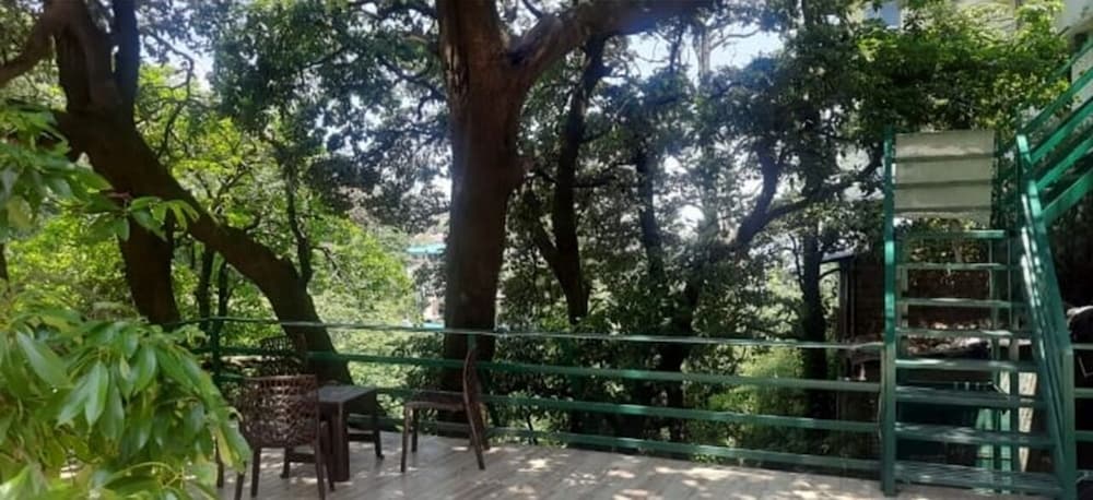 Kaushik Cottage