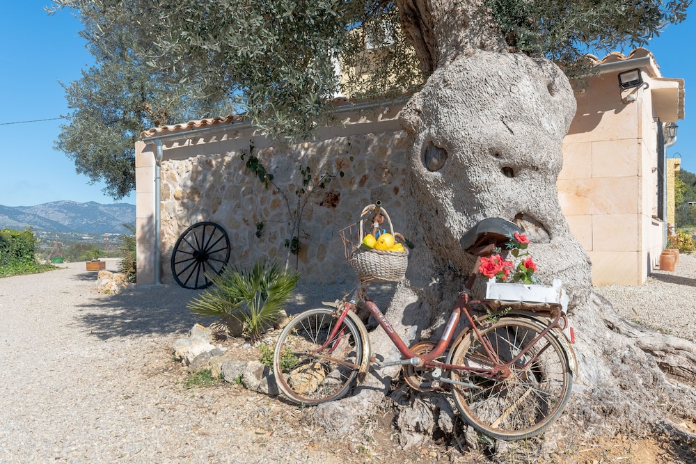 Finca Can Rebasso