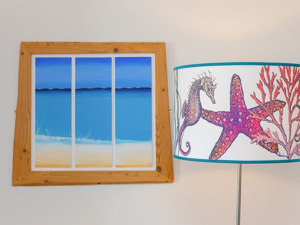 Stargazy