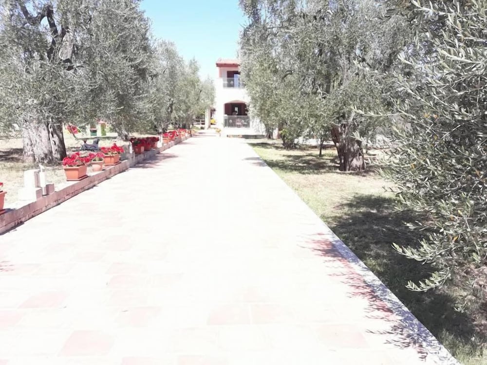 Borgo Cerasa