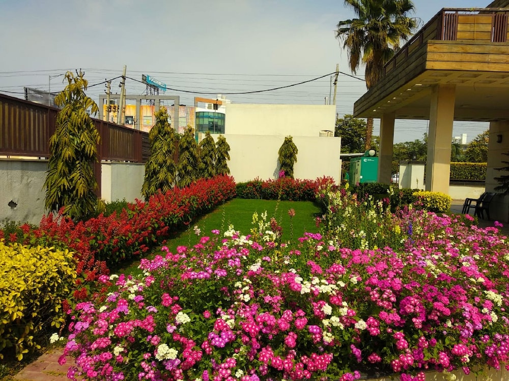 Photo 10