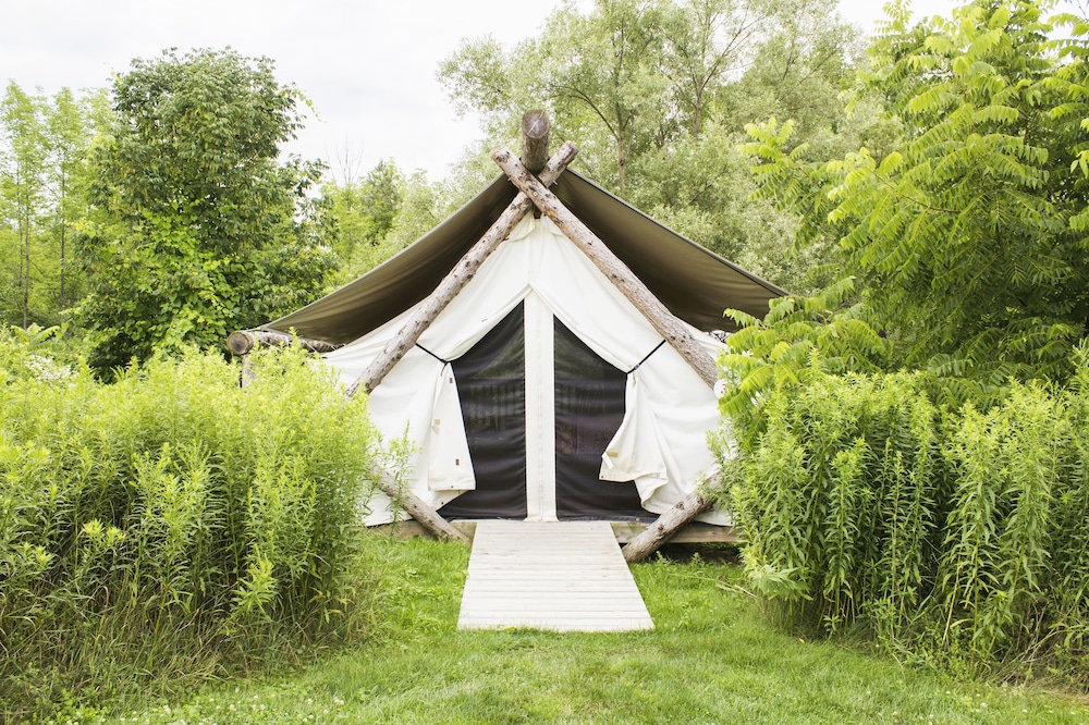 Firelight Camps