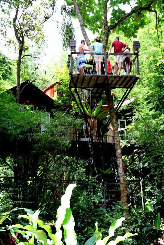 Khao Sok Tree House