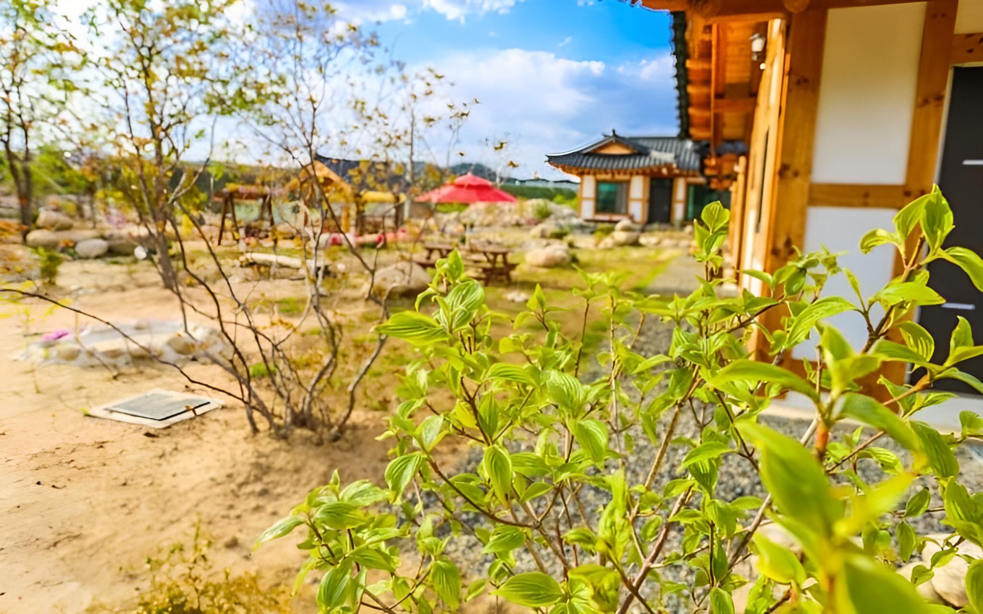 Yangyang Seorak Nadeul Pension view 5