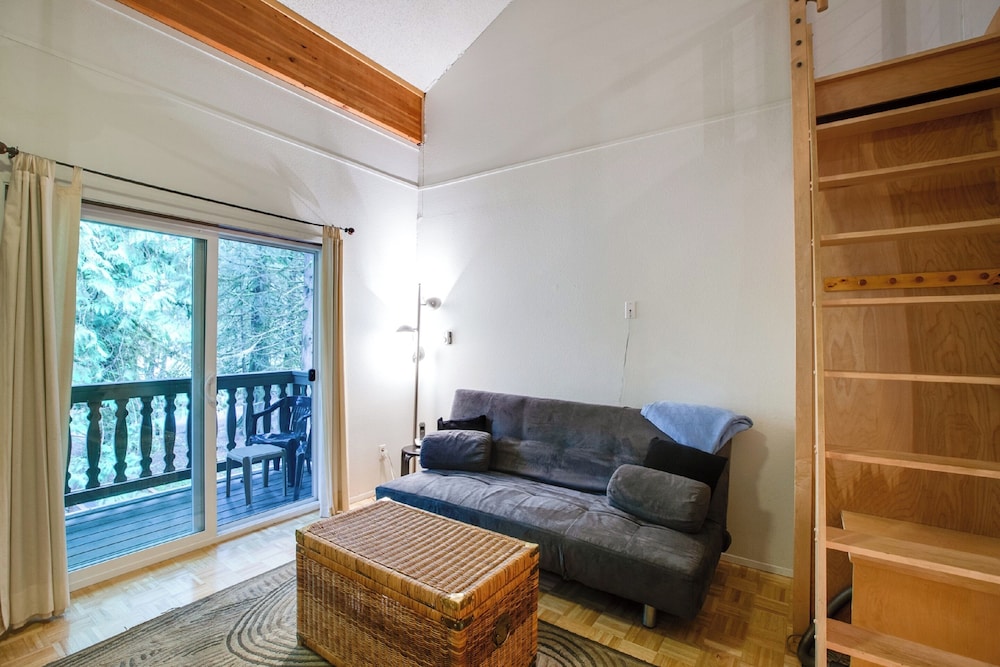Mt Baker Lodging Condo 94 - A Great Condo Near Skiing and Hiking Now has Wifi