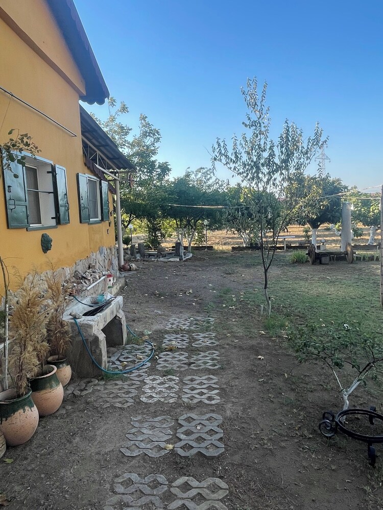 Saygın Çiftliği
