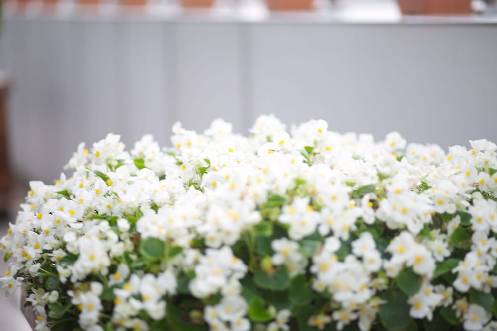 Princess Boutique Otel - Image 12