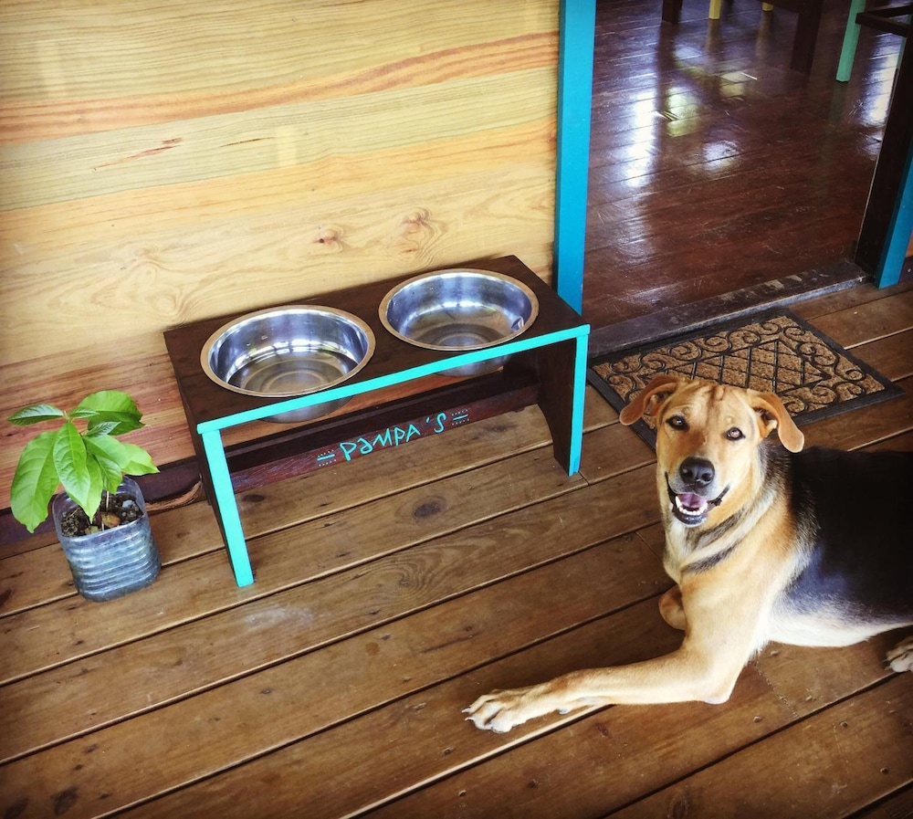 El Caribeo - Nature Lodge