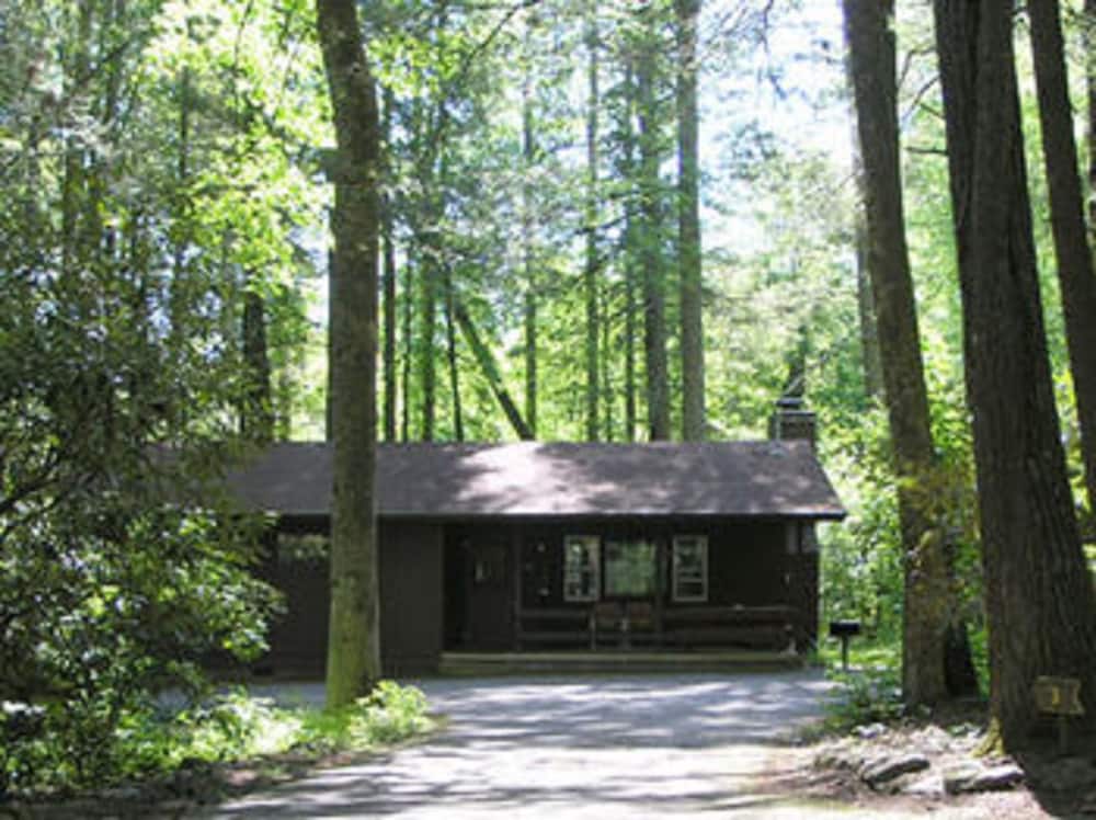 Cabins at Twinbrook Resort