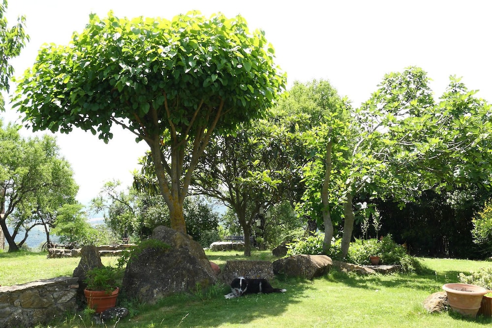 Photo 22