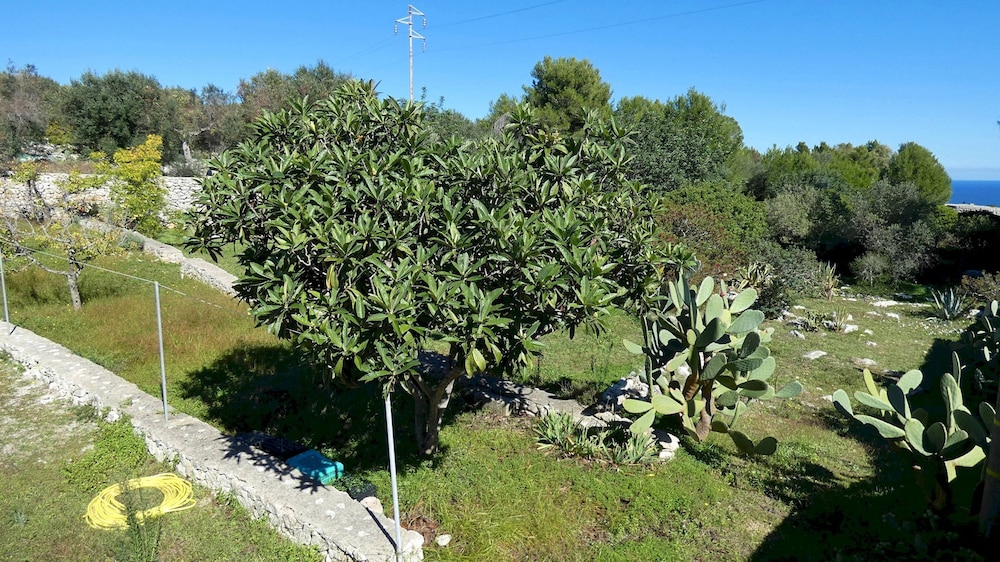 Villa Giulia - Immersa Nella Natura Vicino Al Mare