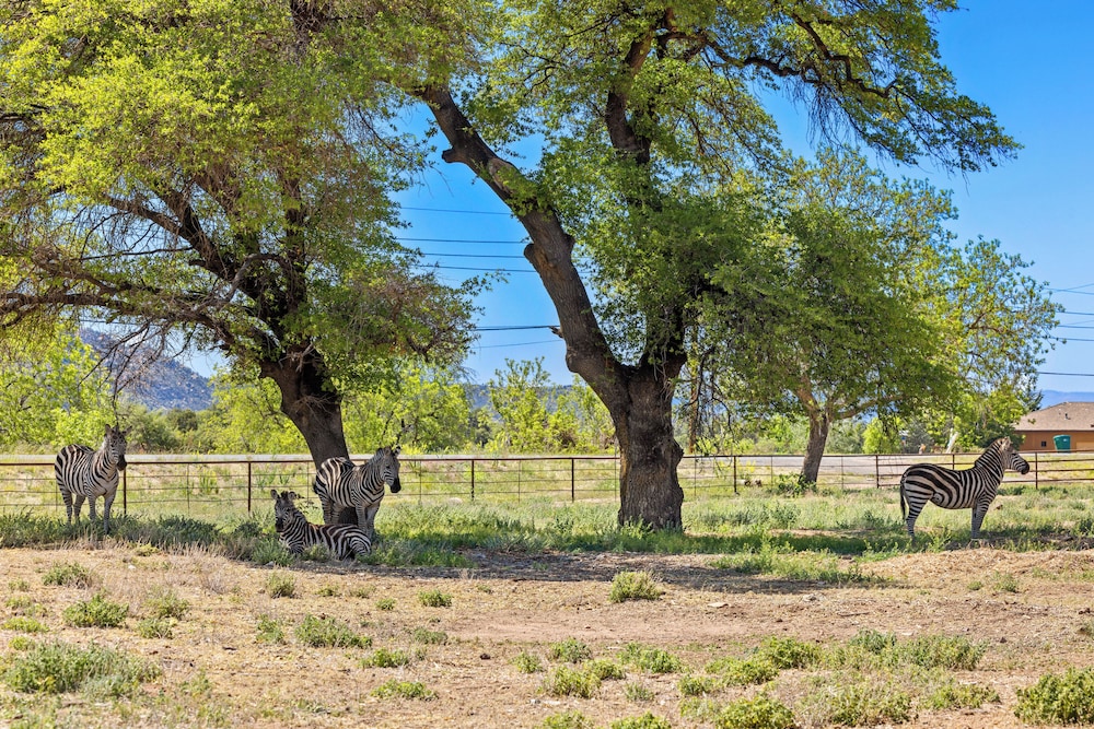 Zebra Ranch 2-br Tiny Home Mtn View Trails Brbq