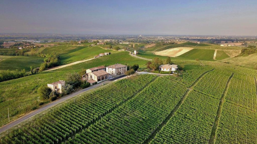 Casa Vacanze PetFriendly tra i Vigneti