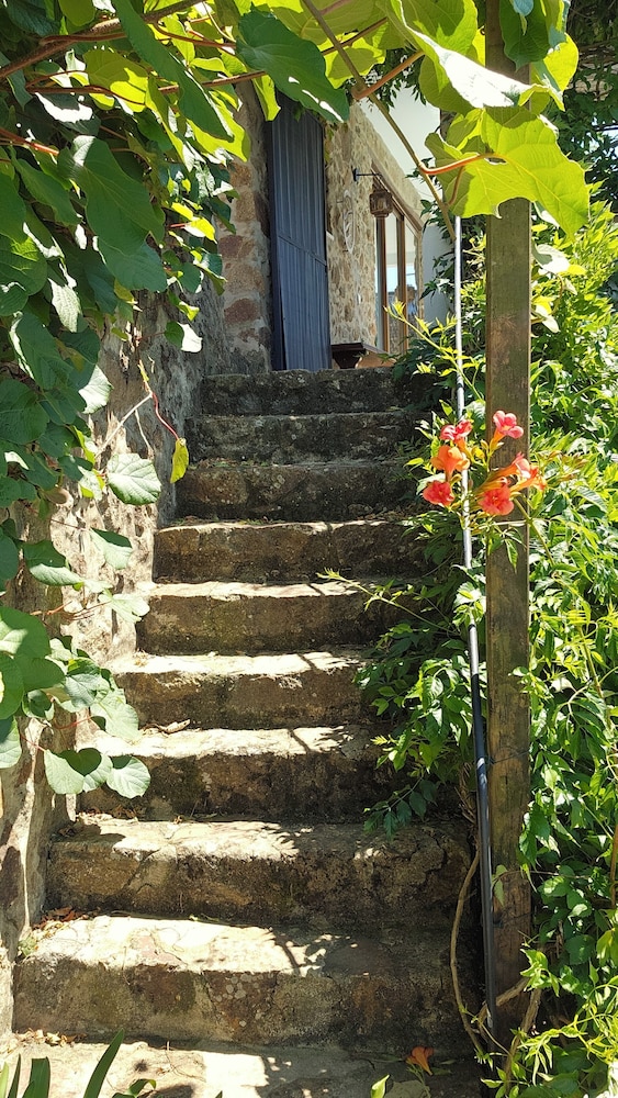 Casa BelaVista Penela Portugal