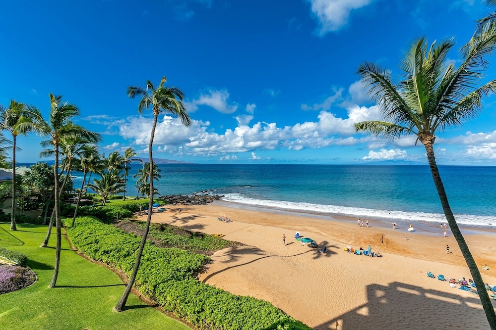 Photo 205