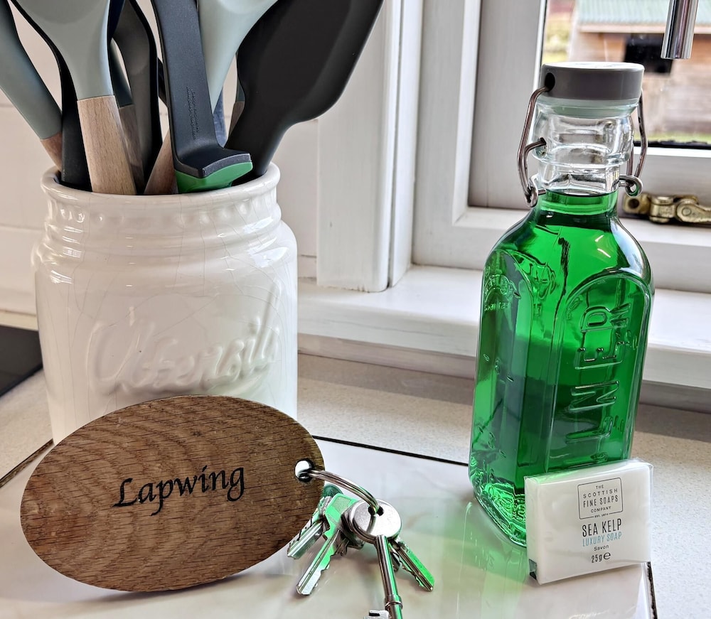 The Lapwing