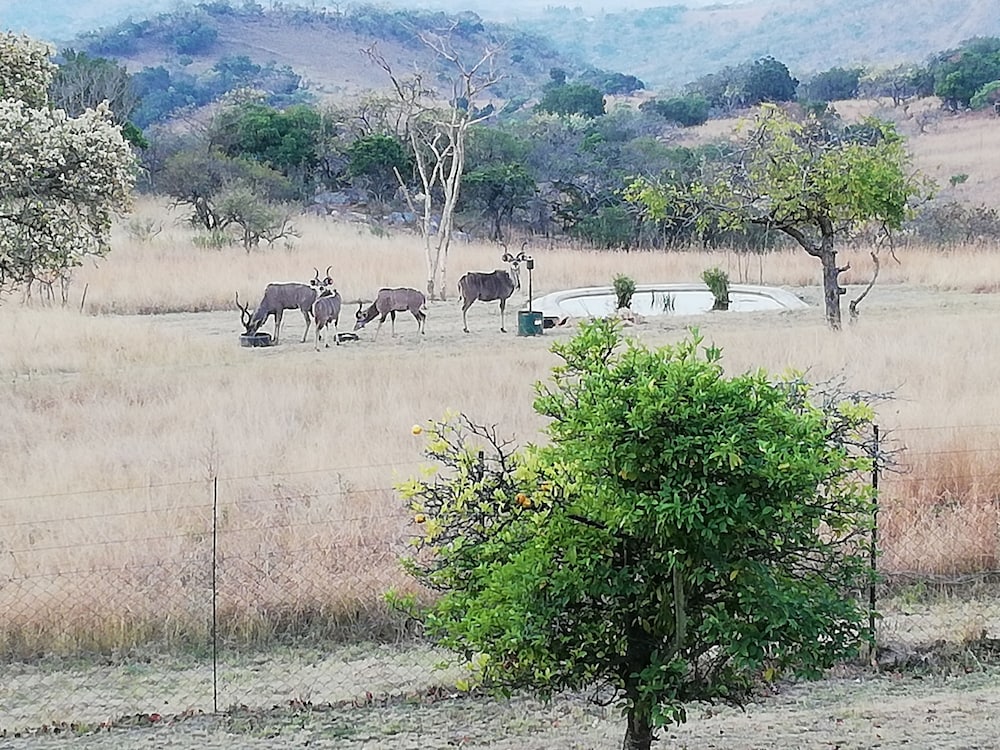 AtNature Luxury Self Catering Cottages