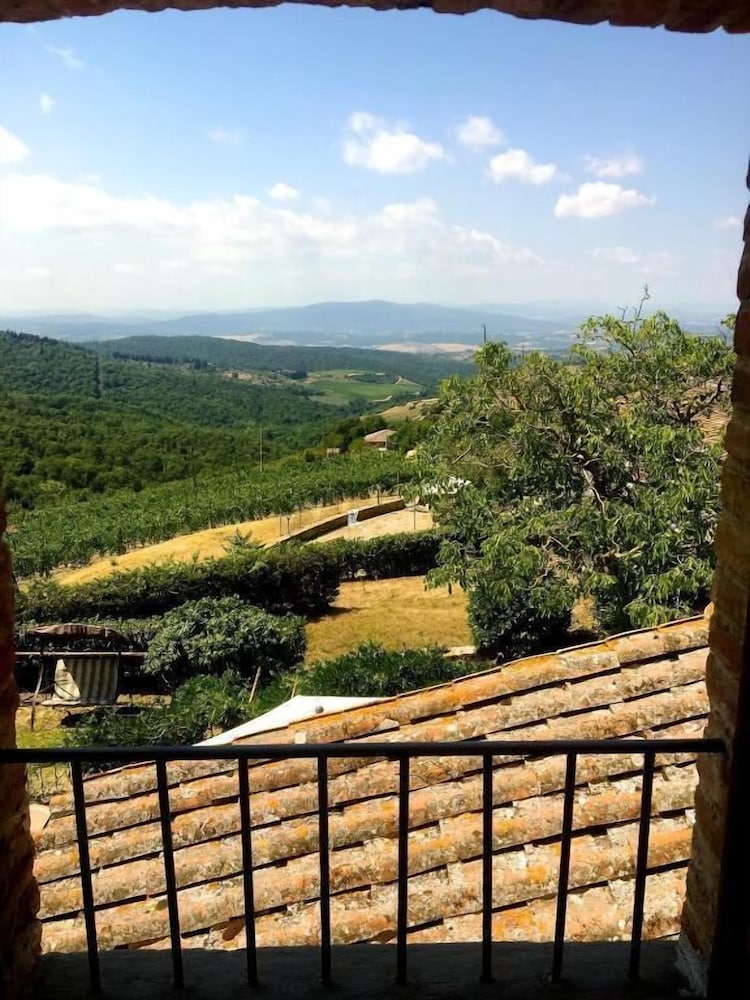 Podere Palazzolo view 4