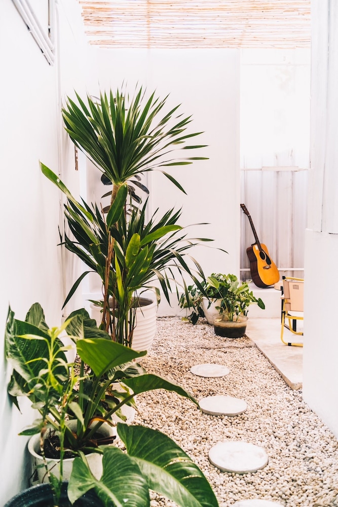 The Park Society - Hostel