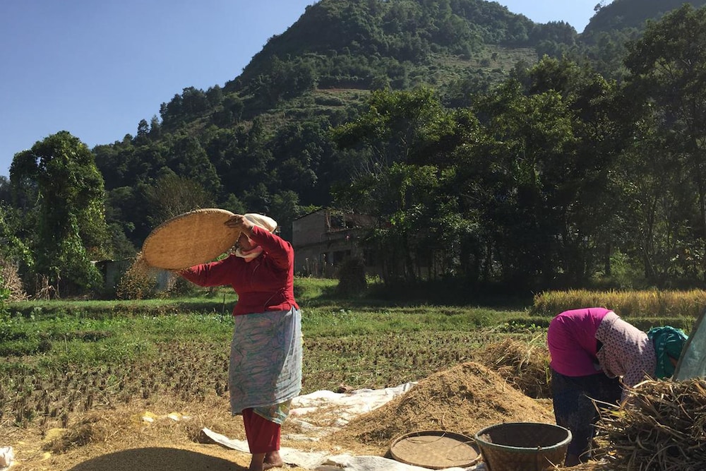 Homestay Nepal