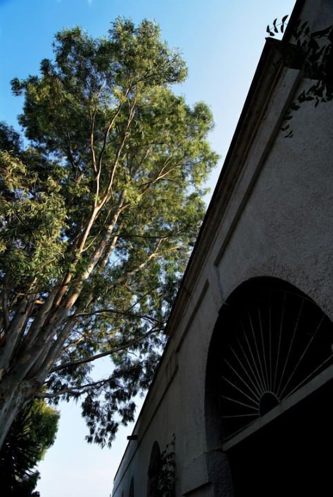 Masseria Frassaniti