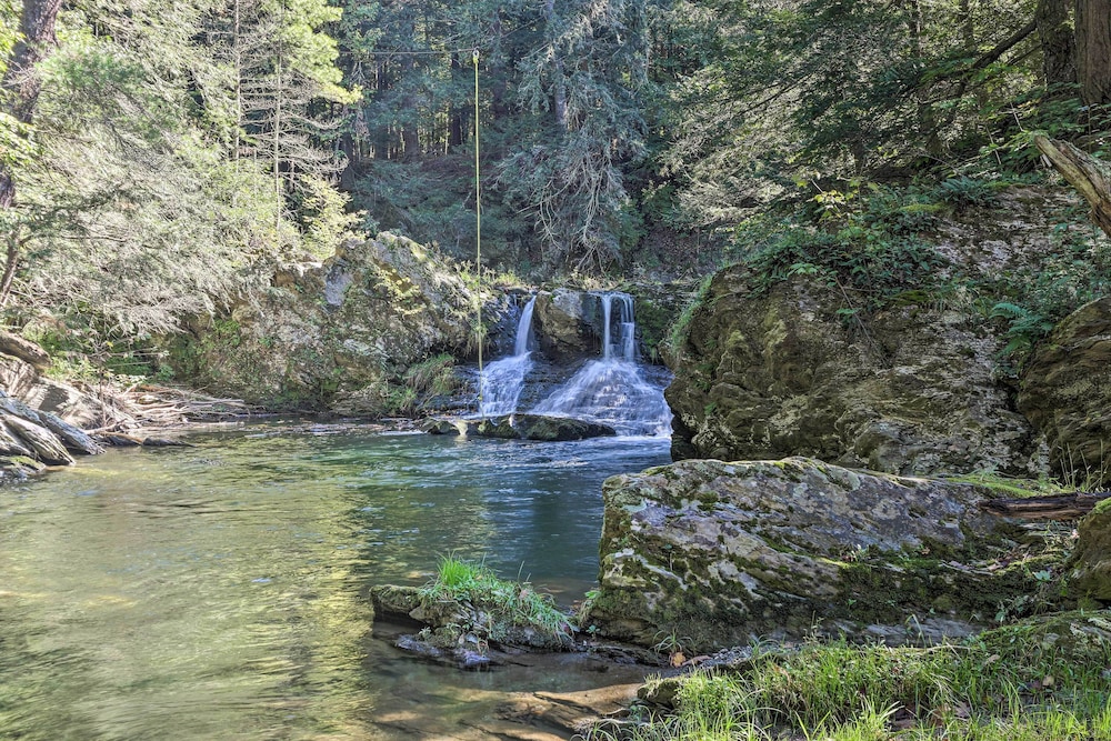 Photo 48