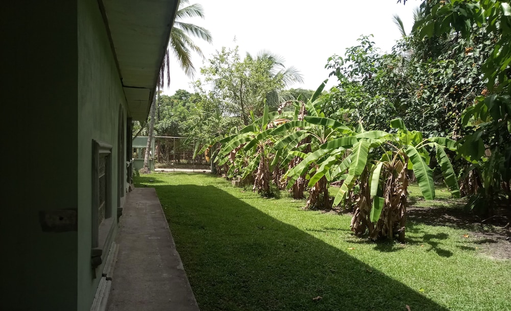 Photo 27